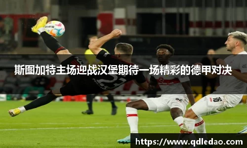 wm视讯平台